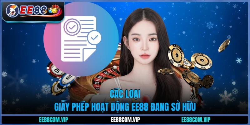 Các loại giấy phép hoạt động EE88 đang sở hữu