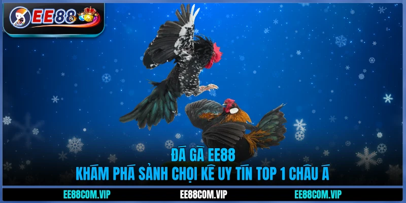 Đá gà EE88 - Khám phá sảnh chọi kê uy tín top 1 châu Á