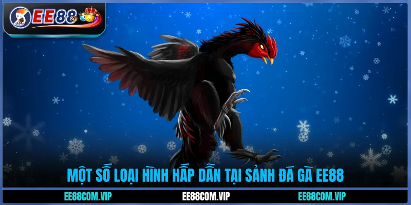 Một số loại hình hấp dẫn tại sảnh đá gà EE88