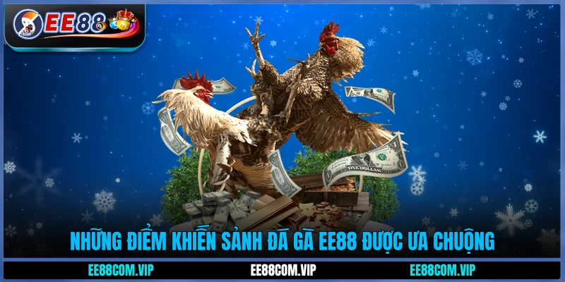 Những điểm khiến sảnh đá gà EE88 được ưa chuộng