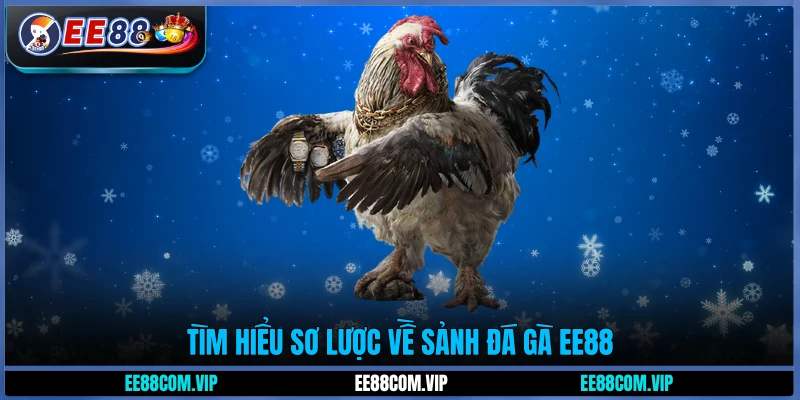 Tìm hiểu sơ lược về sảnh đá gà EE88